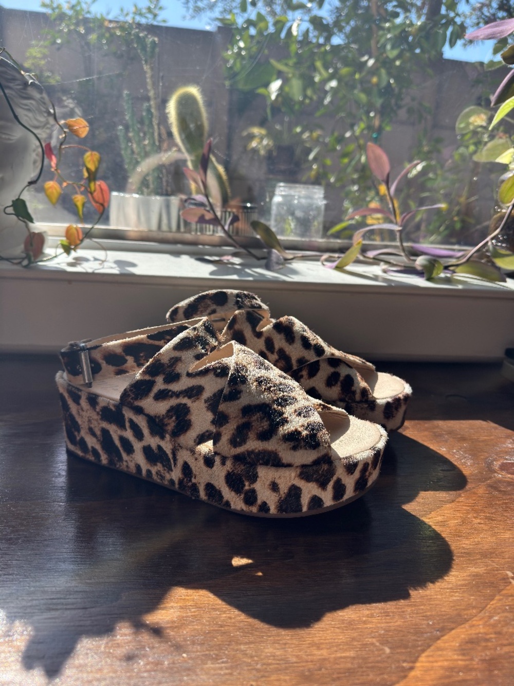 Amuse Society x Matisse - Chunky Runaway Leopard Platform Wedge - Size 9